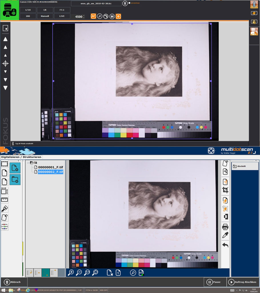 Professionelle und individuelle Digitalisierung nach DFGRegeln